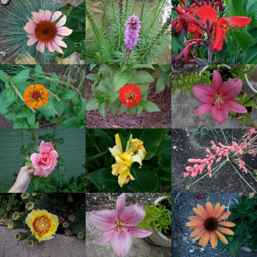 12flowers